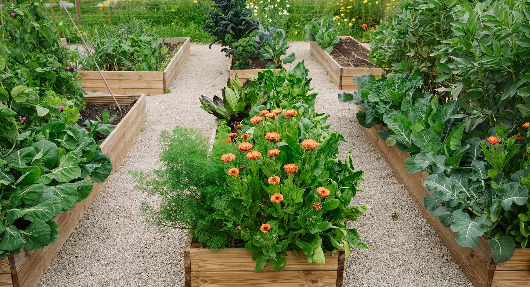 Montaje y mantenimiento de huertos ecológicos