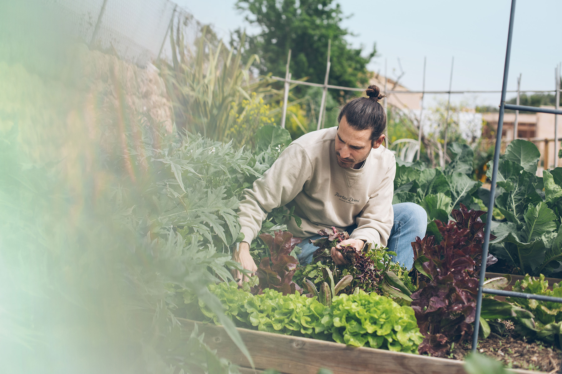 Consultoría presencial de huerto ecológico en Mallorca con asesoramiento personalizado