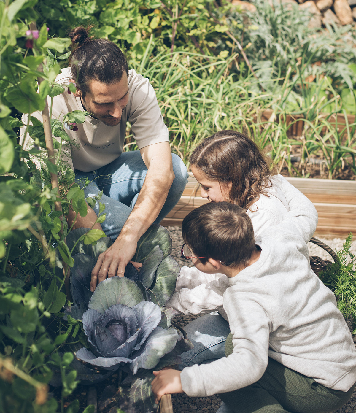 Diseña e integra un huerto escolar como herramienta pedagógica ecológica