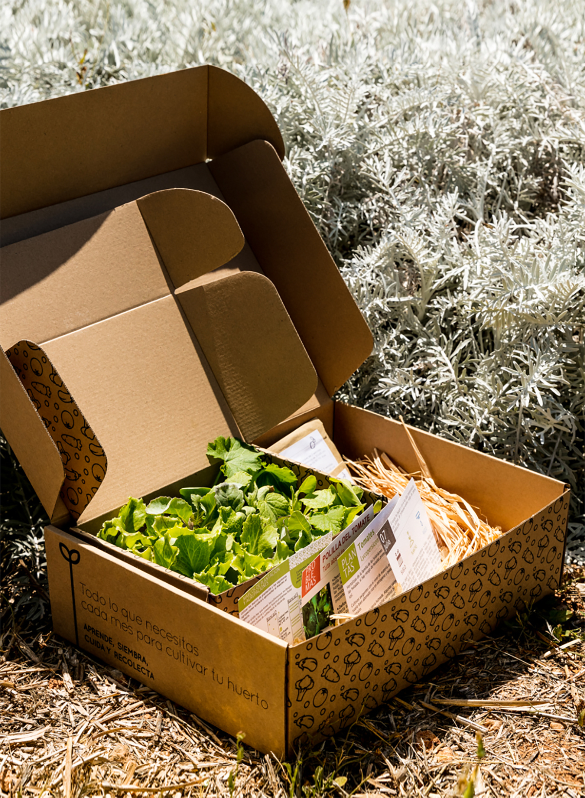 Suscripción mensual a caja de cultivo