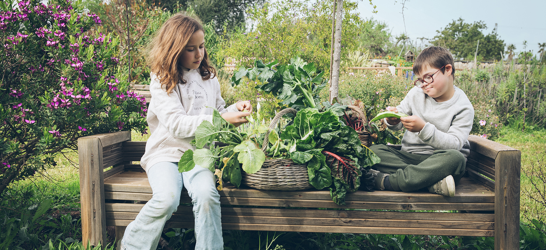 Cómo montar un huerto ecológico familiar en casa