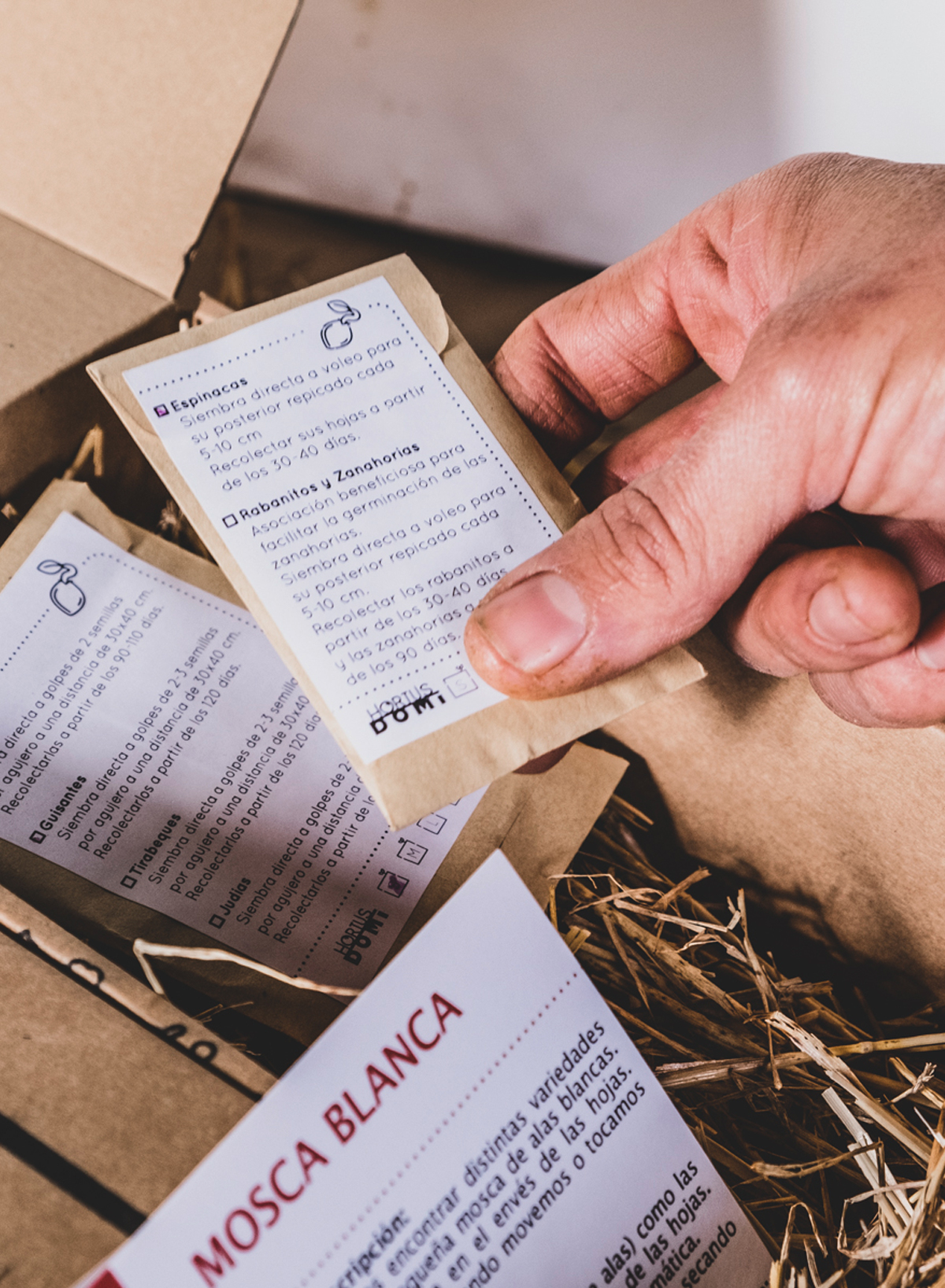 Guías mensuales de siembra