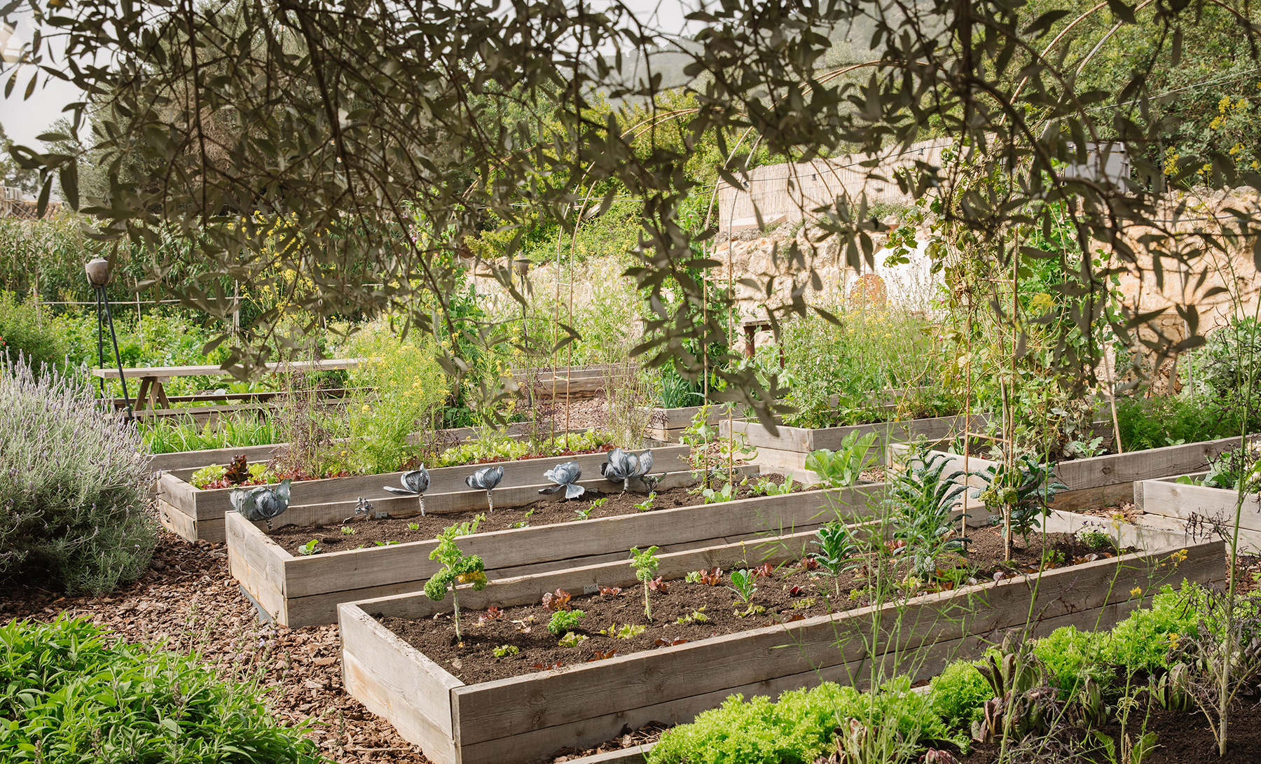 Huerto ecológico en casa