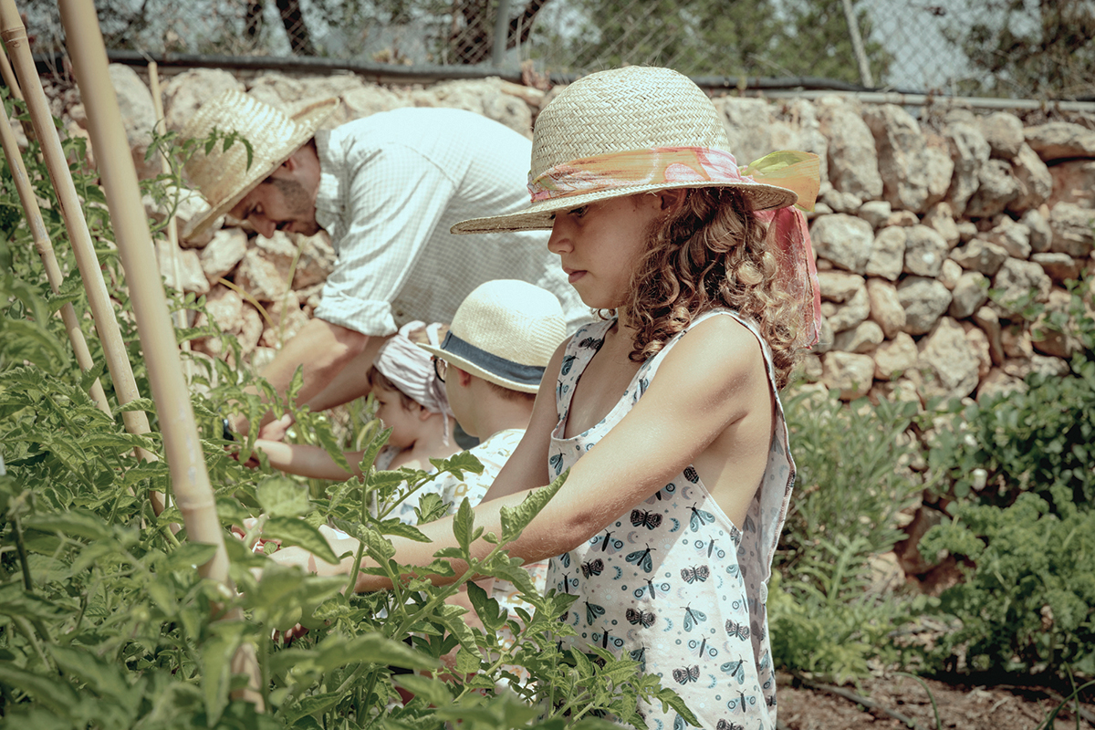 Cómo empezar un huerto en casa