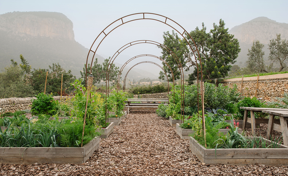 servicio de mantenimiento huerto Mallorca