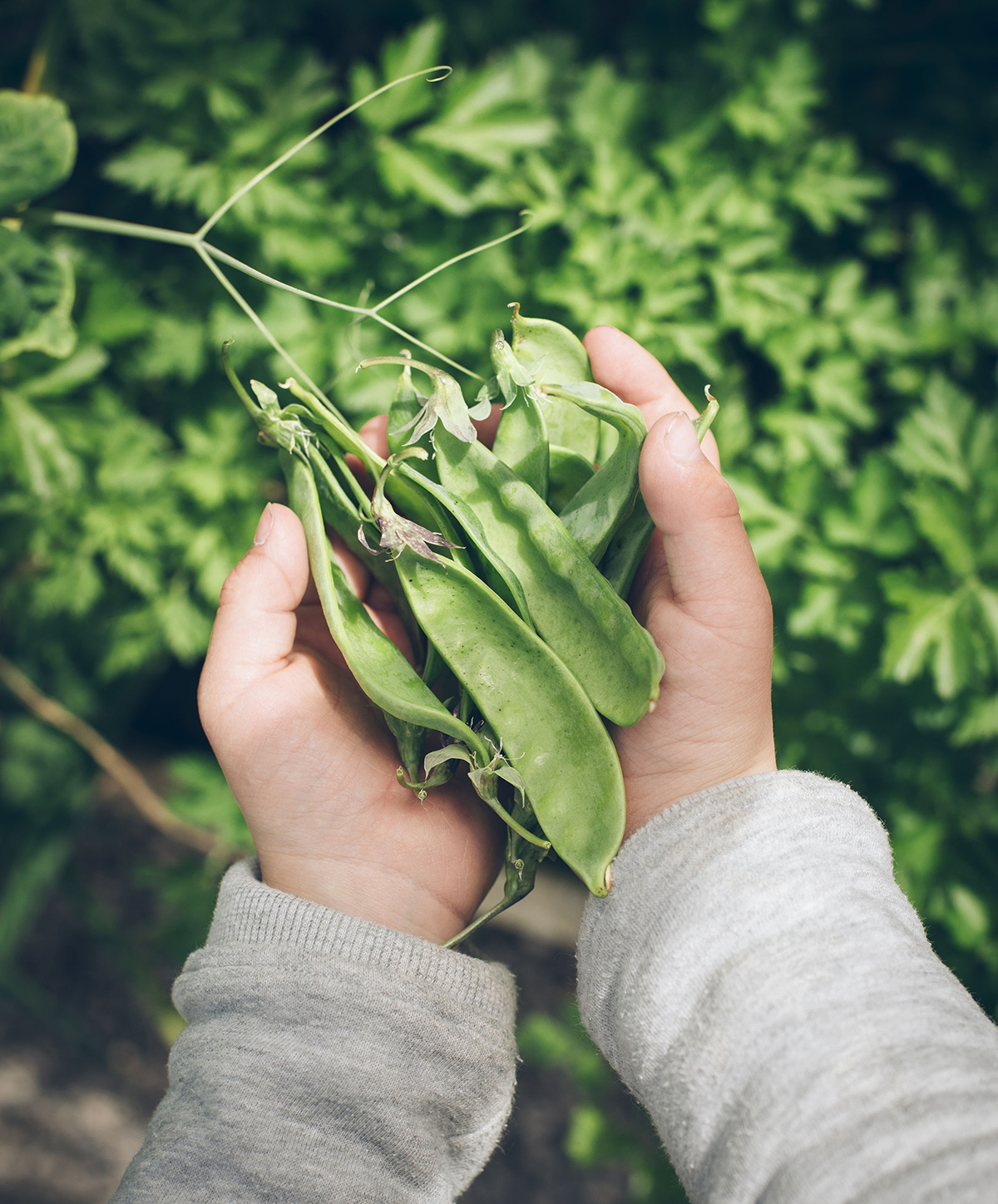 Vivir de forma más autosuficiente